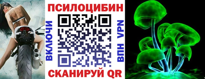 Псилоцибиновые грибы GOLDEN TEACHER Власиха